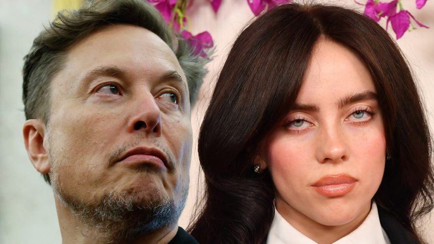 Elon Musk Claps Back at Billie Eilish After She Slams Him for Hoarding Wealth