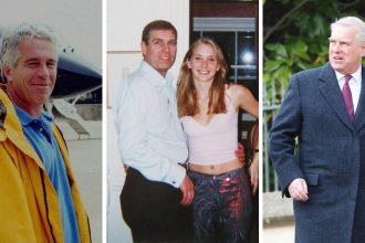 Epstein Admission Heaping More Shame On Andrew Windsor