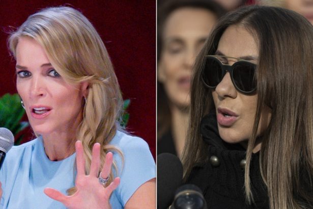 Epstein Survivor Rips Megyn Kelly’s Bizarre Epstein Comments