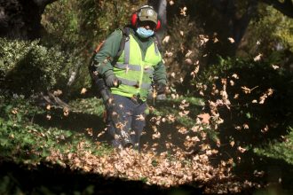 Everyone hates gas-powered leaf blowers. So why is it so hard to ban them?