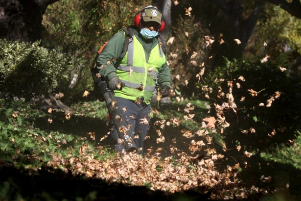 Everyone hates gas-powered leaf blowers. So why is it so hard to ban them?