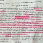 Exam asked students to write about boy forced to drop pants