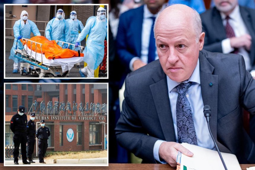 Exclusive | Peter Daszak, Wuhan doctor and EcoHealth Alliance ex-prez, ‘unemployed, poor’: suit