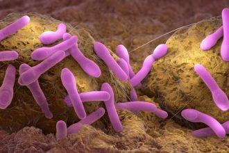 Experts Explain How Botulism Toxin Can End Up in Baby Formula