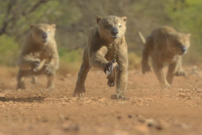 Extinct animals in Prehistoric Planet: Ice Age make it a must-watch