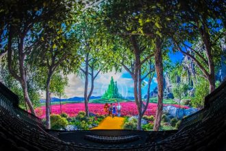 Fine Tuning AI Models Explained