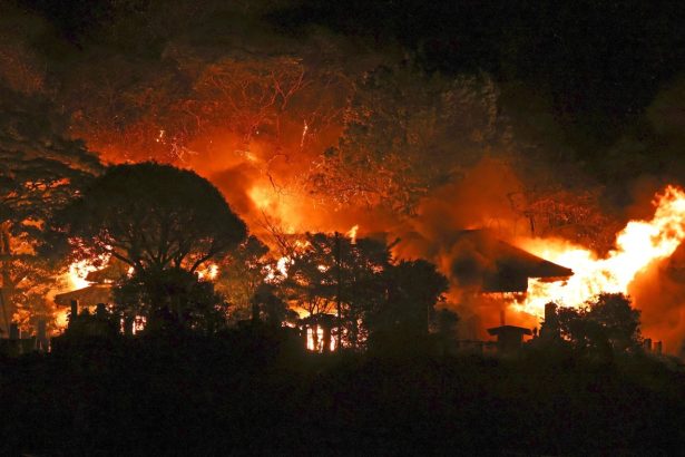 Fire in southwest Japan burns 170 homes, forces evacuations : NPR