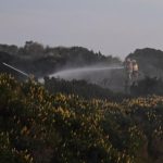 Fireworks thought cause of Tomahawk blaze