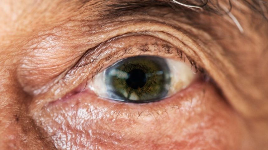 First-of-Its-Kind Treatment Boosts Vision in Human Trial, Scientists Report : ScienceAlert