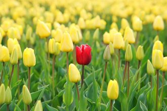 F/m Investments Preps First Mutual Fund Shares of ETFs