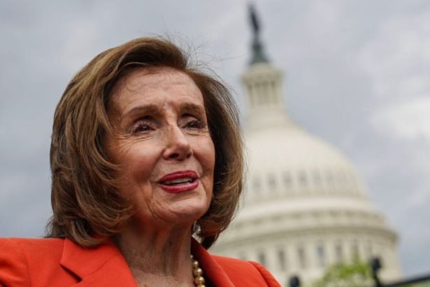 Former Speaker Nancy Pelosi will not seek reelection : NPR