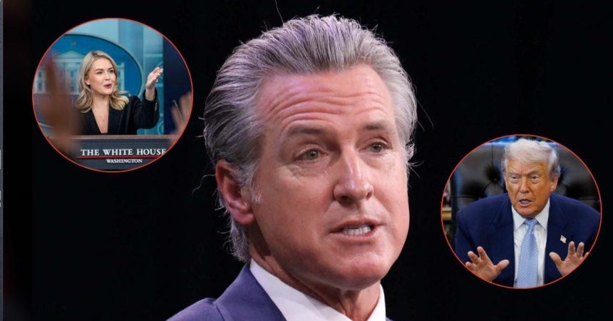 Gavin Newsom Slams Karoline Leavitt For Defending Trump’s Piggy Insult