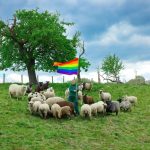 Gay Sheep Make Their High Fashion Debut in NYC