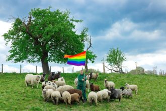 Gay Sheep Make Their High Fashion Debut in NYC