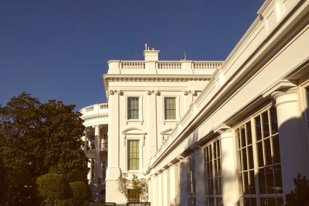 My Little Corner of the East Wing