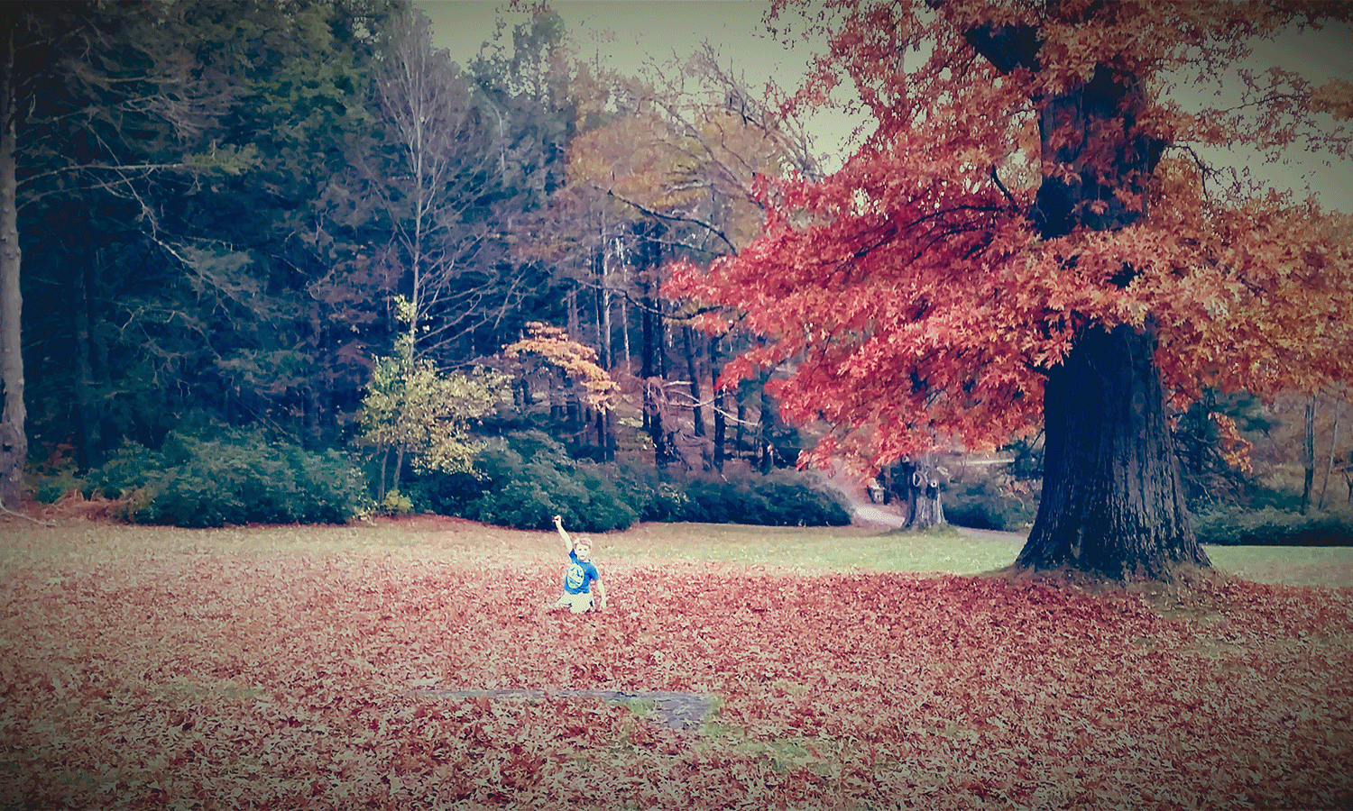 Giving Thanks in This Climate Moment