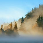 Guest Idea: Tokenization of Environmental Assets & Ecosystem Services