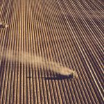 Half Wasted: Fertilizer Overuse, Pollution, and the Global Nitrogen Cycle