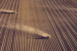 Half Wasted: Fertilizer Overuse, Pollution, and the Global Nitrogen Cycle