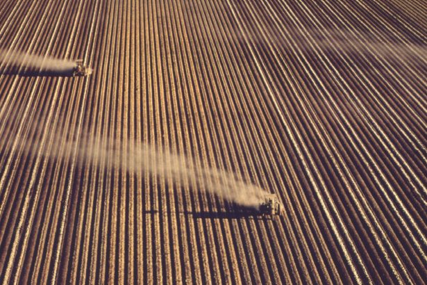 Half Wasted: Fertilizer Overuse, Pollution, and the Global Nitrogen Cycle