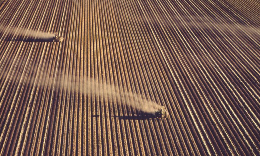 Half Wasted: Fertilizer Overuse, Pollution, and the Global Nitrogen Cycle