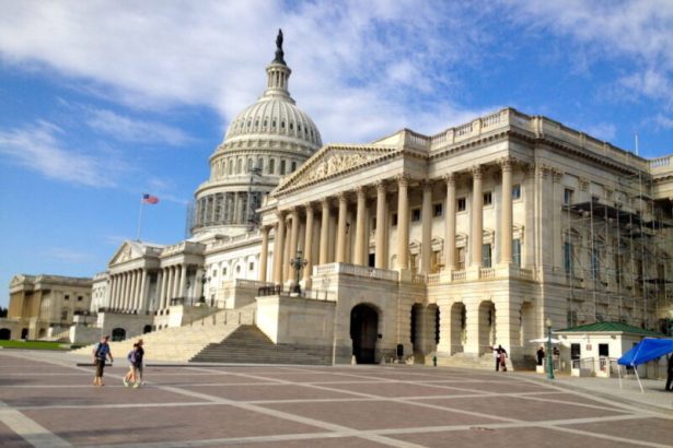 Has Crime Decreased In Washington D.C. Since Trump’s Interventions?