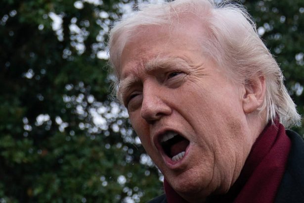 Here Are The 239 Words Trump Posted After Midnight