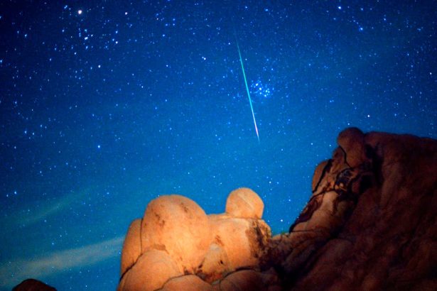 Here’s how to spot the Leonid meteor shower this month