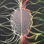 Hidden Rhythms in Your Brain And Gut Share a Surprising Link : ScienceAlert