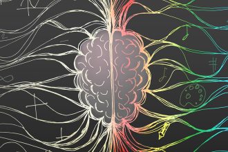 Hidden Rhythms in Your Brain And Gut Share a Surprising Link : ScienceAlert