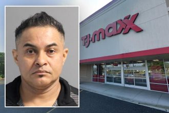 Honduran national indicted for touching multiple young girls inside Long Island TJ Maxx: DA