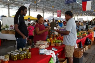 How Texas became the heart of RFK Jr.’s MAHA movement