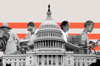 How the shutdown broke America’s food chain — and what happens next