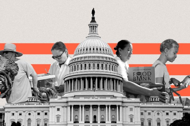 How the shutdown broke America’s food chain — and what happens next