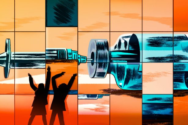 How two FDA officials, Prasad and Hoeg, seized vaccine oversight