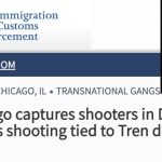 ICE called him a ‘suspected shooter’ in a Chicago mass murder — then quietly deported him