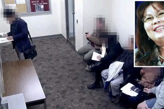 ICE says Duckworth staffer impersonated lawyer to gain access to detainee