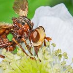 ‘If ecosystems go, we go’