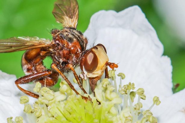 ‘If ecosystems go, we go’