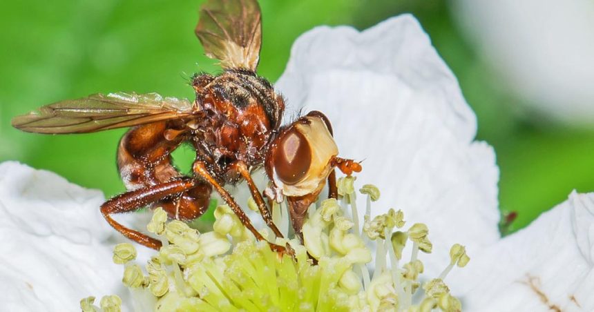 ‘If ecosystems go, we go’