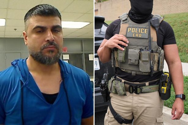 Illegal immigrant accused of grabbing ICE officer’s taser while shouting ‘Allahu akbar’ during arrest