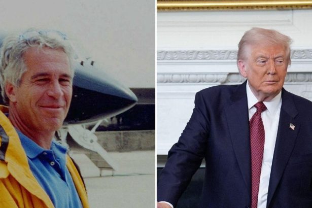 Inside Jeffrey Epstein’s Plot To ‘Let Trump Hang Himself’
