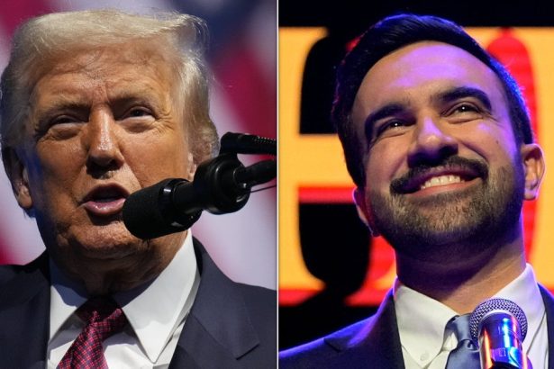 ‘It’s A Very Dangerous Statement’: Trump Warns Mamdani About His Victory Speech