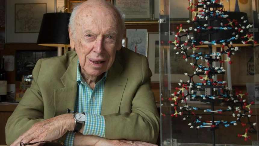 James Watson, who co-discovered the structure of DNA, has died at age 97 : NPR
