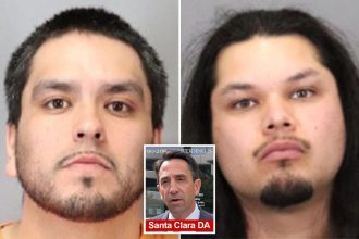 Judge frees murder suspect without bail, DA warns of risk