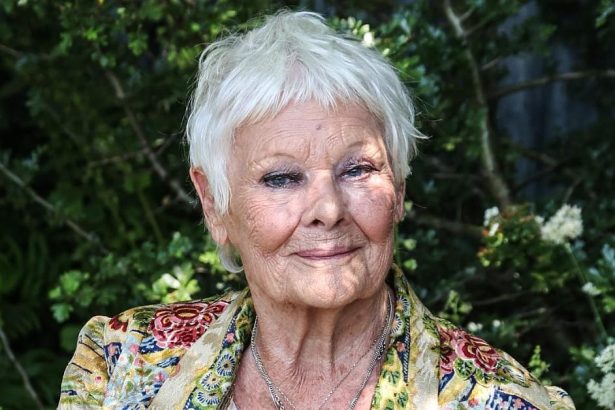 Judi Dench, 90, Shares Devastating Update on Degenerative Eye Condition