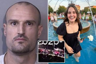 Kansas med student Elsa McGrain hit and run suspect William Ray Klingler has criminal history