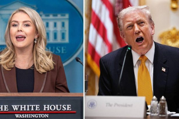 Karoline Leavitt Defends Trump’s Demand ‘Traitor’ Dems Should Be ‘Hanged’