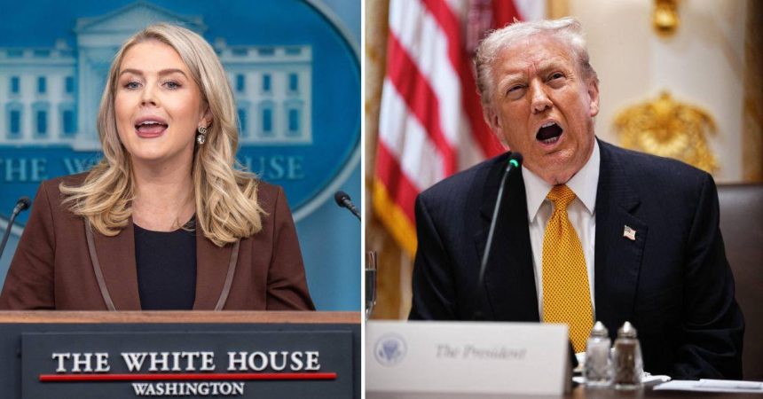 Karoline Leavitt Defends Trump’s Demand ‘Traitor’ Dems Should Be ‘Hanged’