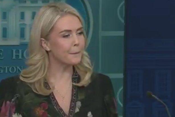 Karoline Leavitt Gives The Worst Possible Answer To Why Trump Had An MRI